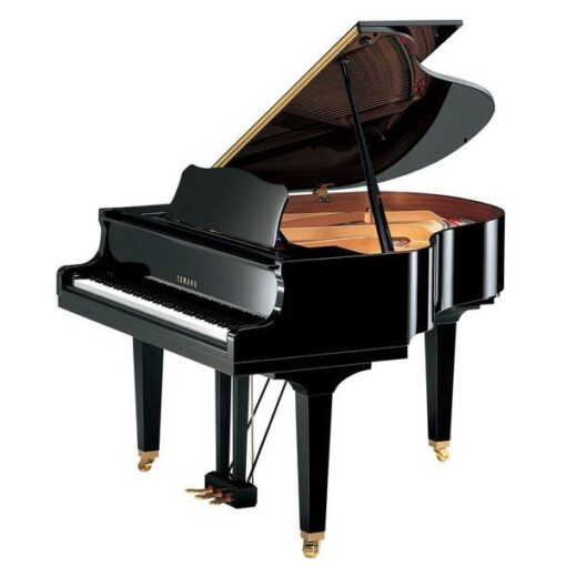 YAMAHA COLA GB1