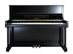 B3