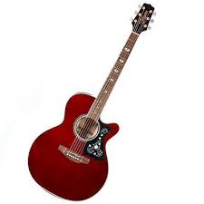 TAKAMINE