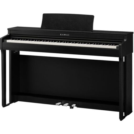 KAWAI CN-201B