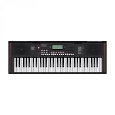 ROLAND X10